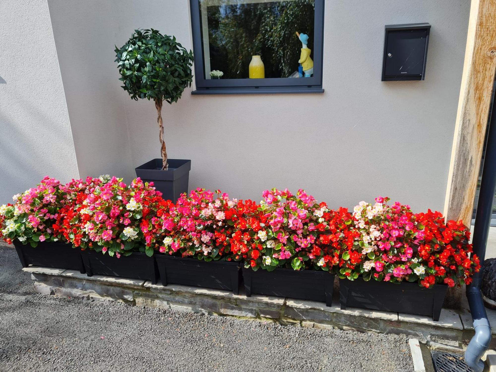 Camden Lodge B&B And Cottage Brecon Bagian luar foto
